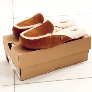 NEW IN BOX Ugg  Lane Slippers